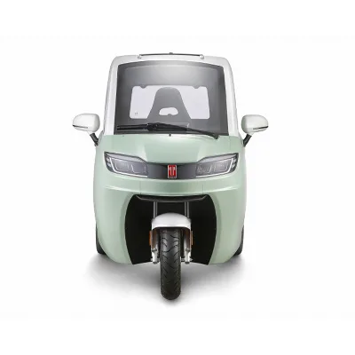 3 Wheel Scooter for Adult Trike Electric Tricycle Covered Electric Bike for Man