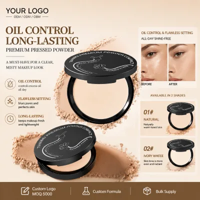 TIANWEI OEM ODM OBM Factory Direct Wholesale Makeup Artist Powder Foundation Concealer All in One Special Base Power Types