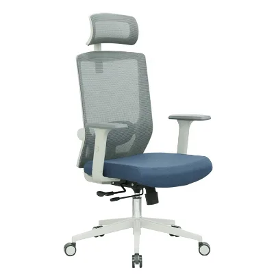 Grey Frame Office Chair Three Position Lock Mechanism with Sliding Function Ergonomic Chair Foam Padded Lumbar Support