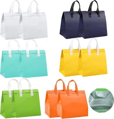 Wholesale Eco Friendly Insulated Backpack Factory Custom Printed Thermal Cooler Bag Solar Panel 600D Luxury Casual 15L Capacity