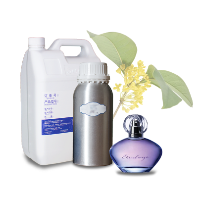 Free Sample Oil Based Perfumes Designer Perfume Oil Fragrance Essences Mens Oil Based Concentrated Fragrance Long Lasting Bulk