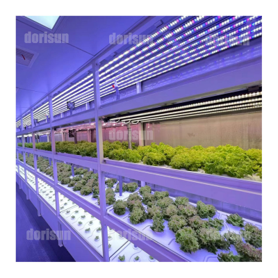 Automatic Climate Control Agriculture Indoor Farm Planting Solution Hydroponic Container Farms