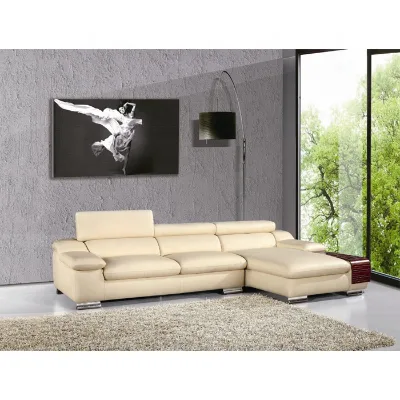 Everogo the Newest Modern Classic Leather Sofa