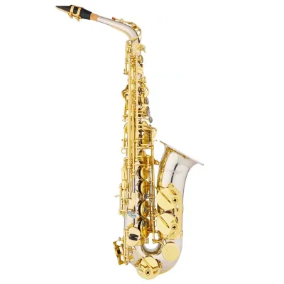 High Quality Saxophone E Flat for Students Beginner with Case Bag