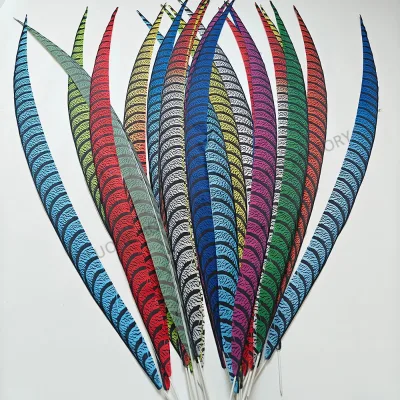 Dyed Samba Carnival Costume with Lady Amherst Zebra Pheasant Feathers Decorative for Festivals and Parties