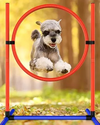 Safe Wear-Resistant Fun Easy-to-Install Pet Training Equipment Dog Obstacle Training Gear for Pet Play and Dog Running Training