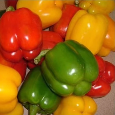 Fresh Bell Pepper Colorful Capsicum Sweet Color Bell Pepper