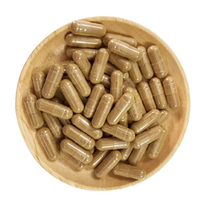 Organic 500mg Turkey Tail Mushroom Extract Capsules Food Grade Immune Support Supplement GMP Certified 60/120 Bulk Wholesale