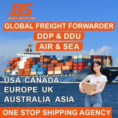 Shipping Agent by Sea Reliable Freight Forwarder to USA/UK/Canada