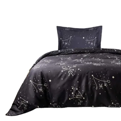 Microfiber Twin Duvet Cover Set 2 Pieces Ultra Soft Zipper Closure Kid's Bedding Set