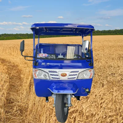 Passenger Gasoline diesel Tricycle Motorcycles