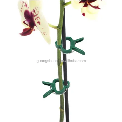 Greenhouse Hook j Tomato Tomato Hook Twine Tomato Trellising Hooks