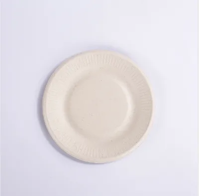 Biodegradable Eco-Friendly Minimalist Paper Plates-9" Round 100-Pack for Parties & Events
