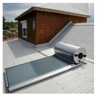 100L 150L 200L 300L 500L Hot Sale Rooftop Solar Panel Water Heater