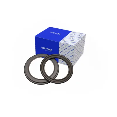 Hot 4HP16 Automatic Transmission Piston Kit for Piston Repair Inverter Piston Group Overhaul Kit