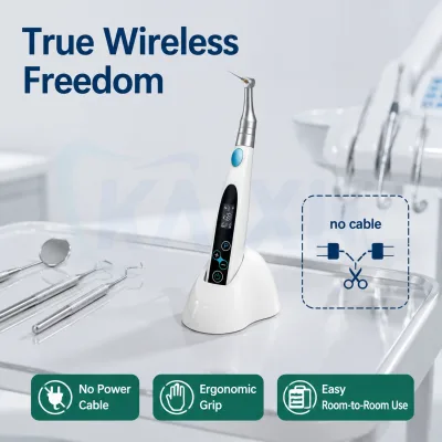 Factory Direct Cordless Touch Screen Function Portable Endo Motor LED Endo Motor Root Canal Motor for Oral Care Center