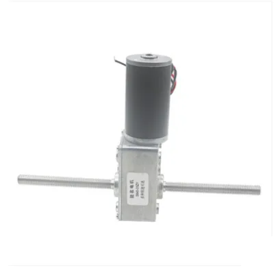 12v 24v Worm Gear Motor DC Motor Double Output Shaft M8 Screw Motor Screw Lifter