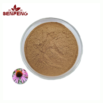High Quality Echinacea Purpurea Extract Natural 10:1 Echinacea Extract Powder