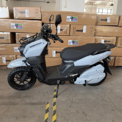 Factory Direct High Speed Electric Dirt Bike 60V Lithium Battery Adult Racing Scooter 1500W Motor Power E Bike Ready to Ship