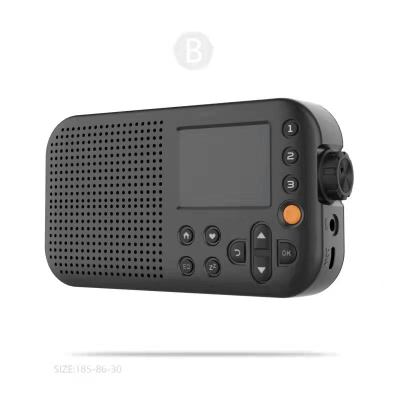 Module Internet Wireless Radio Stream
