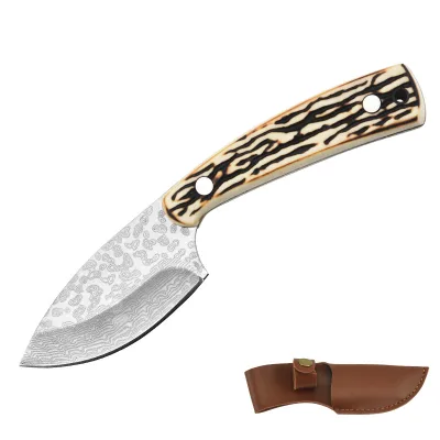 High Quality Super Sharp Stainless Steel Multi-Function Meat Small Knife Hunting Outdoor Knife