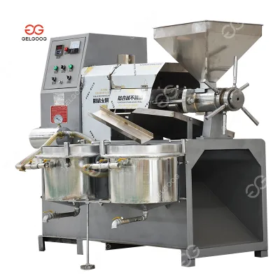 Screw Oil Press Machine/Sunflower Seed Oil Press/Automatic Cold Press Oil Mill