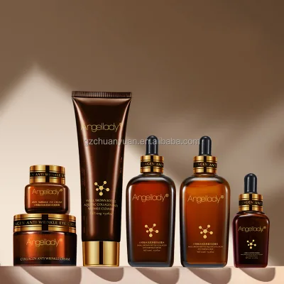 OEM Formula 10 Piece Set Small Brown Bottle Collagen Anti Wrinkle Beauty Skin Care Set Anti Aging Skin Care Facial Products Set