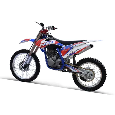 2019 Newest Model Cheap Wholesale Racing Motorbike 450cc