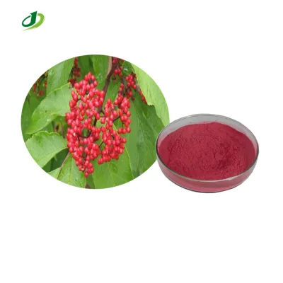 Elderberry Fruit Extract Powder Sambucus Elderberry Extract  Anthocyanidins 25%