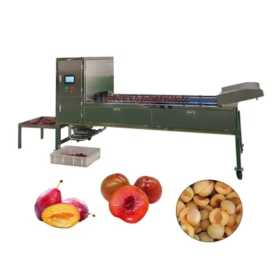 Industrial Bayberry Fruit Pitting Machine / Plum Stone Removing Machine / Lychee Seed Removing Machine