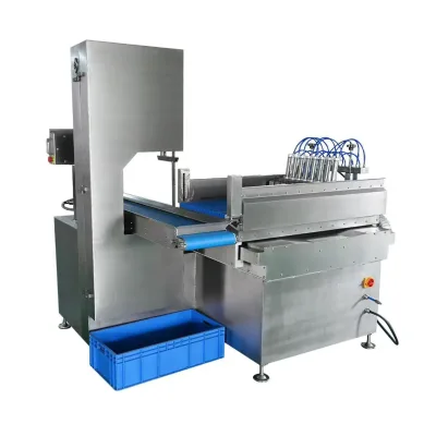 5.5KW Food Grade Electric Automatic Bone Saw Motor Bearing High Productivity 380V Stainless Steel Housing 1 Year Warranty