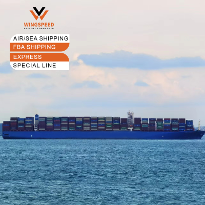 Freight forwarder china to Australia/New Zealand by air ddp Sea shipping
