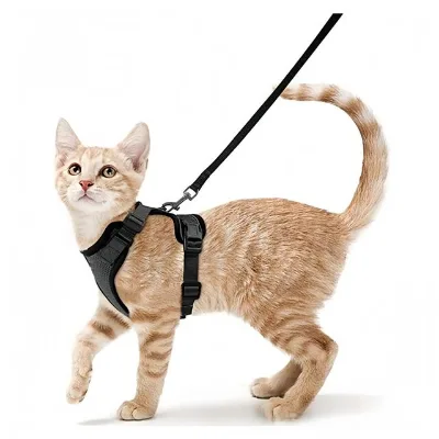 Cat Harness Small Dog Leash Harness Kitten Adjustable Collar Harnai Cat Reflective Breathable Vest Leash Pet Harness Set Pet Leash