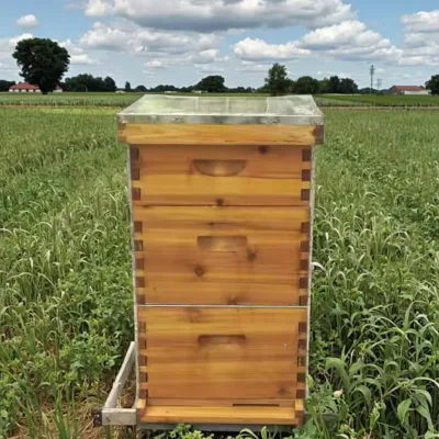 CustomSized Langstroth Beehive for Large Colony Management