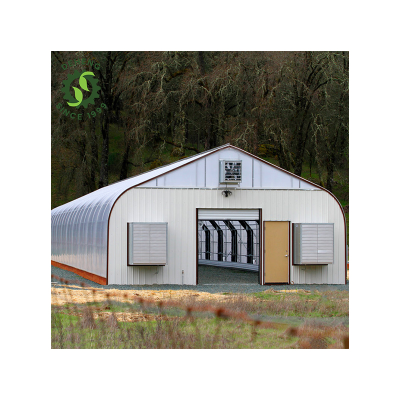 Sturdy Automatic Light Deprivation Greenhouse With Hydroponics for Turnkey Project Green House Sales