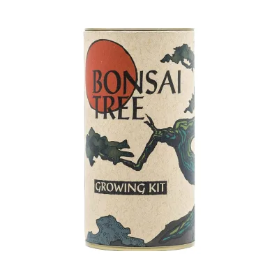 Japanese Flowering Cherry Bonsai Tree Growing Kit Classic Design Style by the Jonsteen Company Made with Plant Fiber