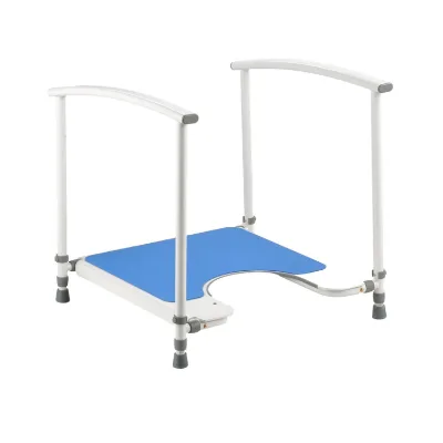 Bliss Medical Height Adjustable Toilet Frame Rail Children Toilet Platform With Handrails White & Blue