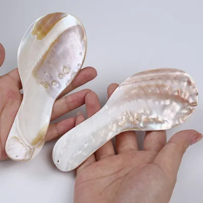 Natural Shell Spoon Rice Shovel Rice Cooker Rice Spoon Creative Lovely Big Scoop of Supplies Spoons