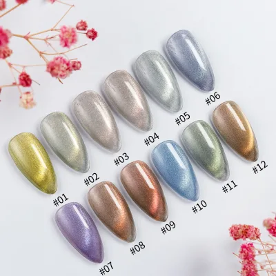 Wholesale 12 Colors Nail Polish Set Cat Eye Gel Polish Galaxy Gel Private Label Crystal Cat Eye Gel Polish