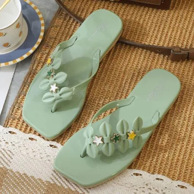 Summer Sandals and slippers Beach Sandals Women's New slippers to Go Out slippers Ladies Wear Casual Flip-flops