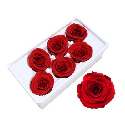 Decorative Preserved Rose Bud Multi-Colored Grade a Quality 5-6cm Bud Size Competitive Price Wholesale From Yunnan