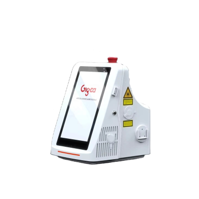 Small Weight Surgery Therapy VET Laser