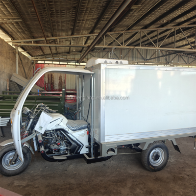 Large Refrigerated Cargo Compartment Sealed Door Design Suitable for Fresh Goods Transportation Fuel Tricycle