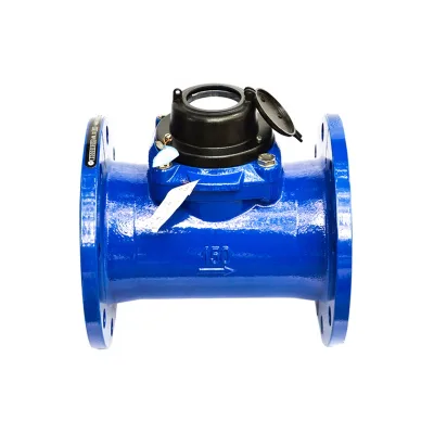 8 Inch Great Volume Water Meter Agricultural Irrigation Water Meter