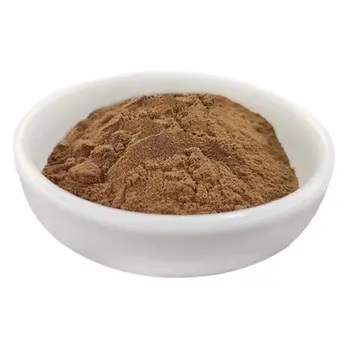 Wholesale Monk Fruit Extract Mogroside Pure Natural Extract of Monk Fruit Organic Monk Fruit Extract Powder