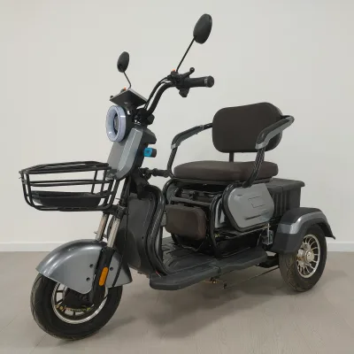 2025 Newly Produced Cheap Price 500W 48v/60v Adult Three Electric Tricycle High Carbon Steel Frame 3-Speed Gears 28km/h Max