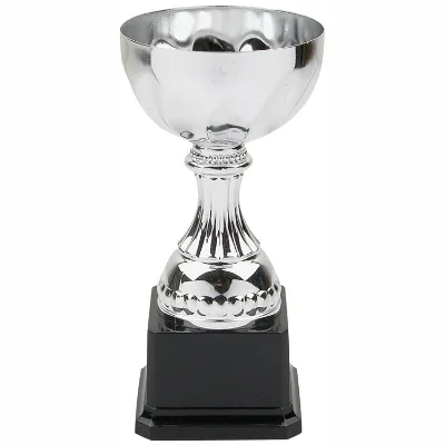 Low MOQ Metal Trophy Souvenir with Factory Price