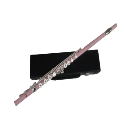 Colored Pink Flute 16 Open Holes C Key White Copper B Footjoint E Mechanism Professional Wind Instrument