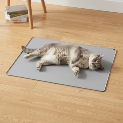 Silicone Pet Feeding Mat Waterproof with Raised Edges for Food and Water Bowls Prevents Spills Multiple Colors for Dogs and Cats