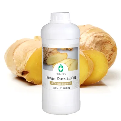 Factory Supply 100% Pure Organic Ginger Oil Body Hair Care Essential Oil Natural Plant Extract Ginger Essential Oil for Massage